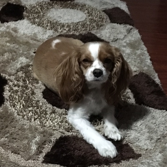 Meet your Posher, Jean - Picture 1 of 1